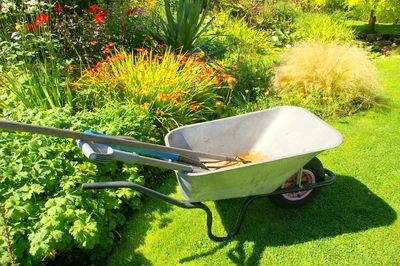 Ti aiutiamo a valutare spazio, luce, esigenze di crescita - Vivai Il pollice Verde, Asti