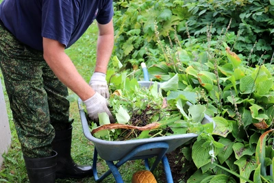 Ti aiutiamo a scegliere gli arbusti giusti in base all’esposizione e al terreno - Vivai Il pollice Verde, Asti