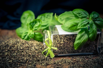 Possiamo consigliarti quali specie scegliere in base alla posizione e all’uso - Vivai Il pollice Verde, Asti