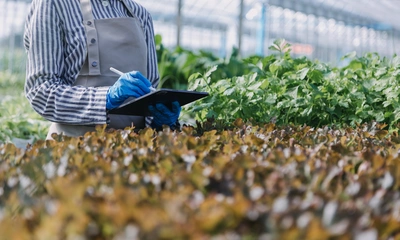 Progettare il verde significa ragionare prima ancora di piantare: valutare gli spazi, le esposizioni, il terreno - Vivai Il pollice Verde, Asti