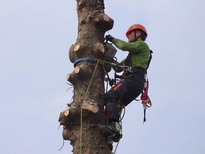 Cosa facciamo, e come - Vivai Il pollice Verde, Asti