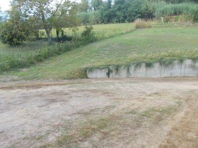 Prima e dopo - Vivai Il pollice Verde, Asti