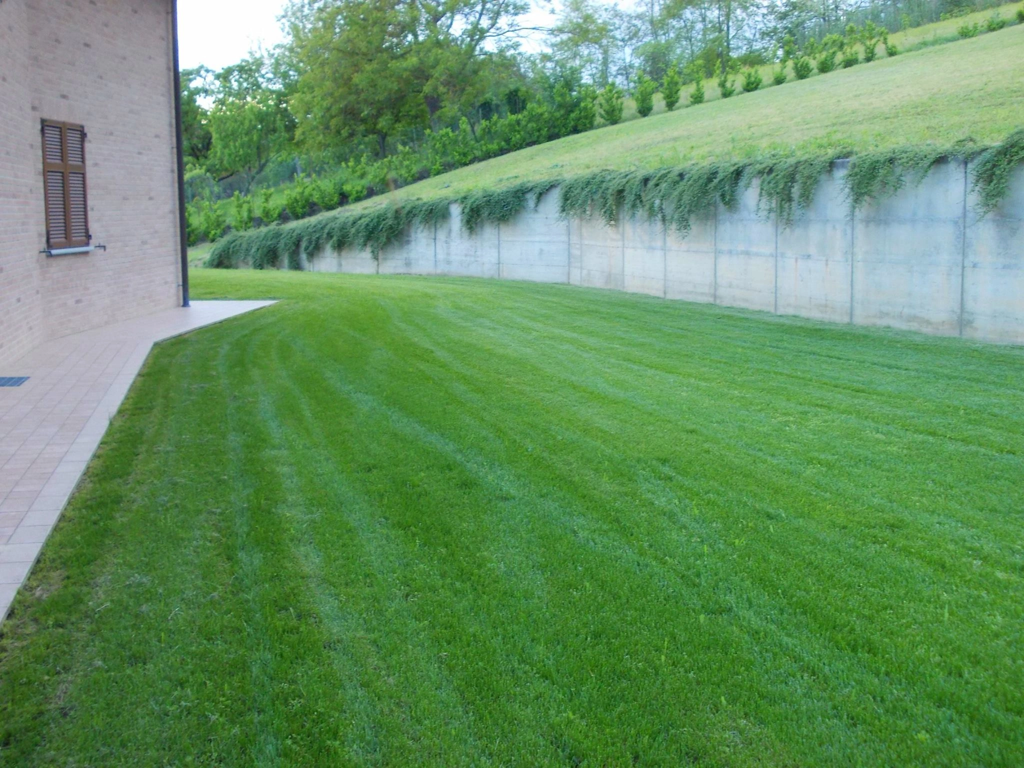 Prima e dopo - Vivai Il pollice Verde, Asti