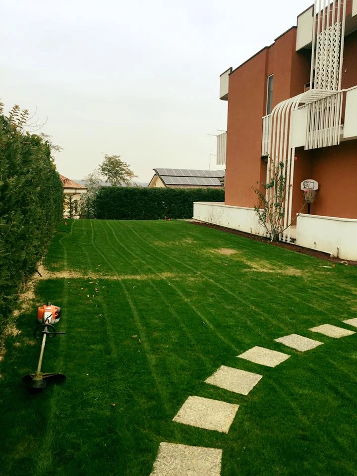 Prima e dopo - Vivai Il pollice Verde, Asti