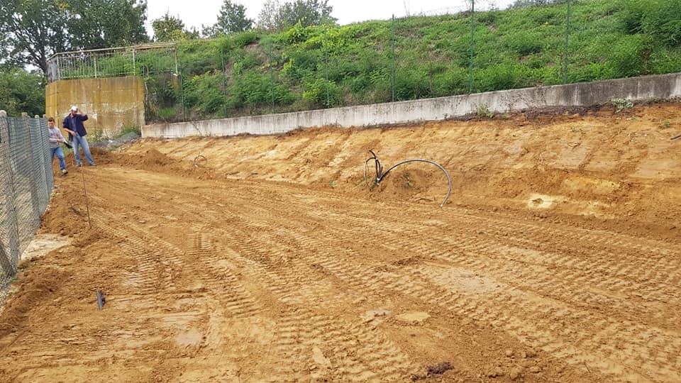 Prima e dopo - Vivai Il pollice Verde, Asti