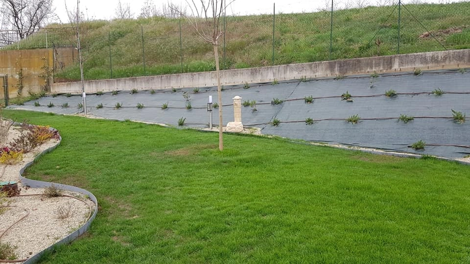 Prima e dopo - Vivai Il pollice Verde, Asti