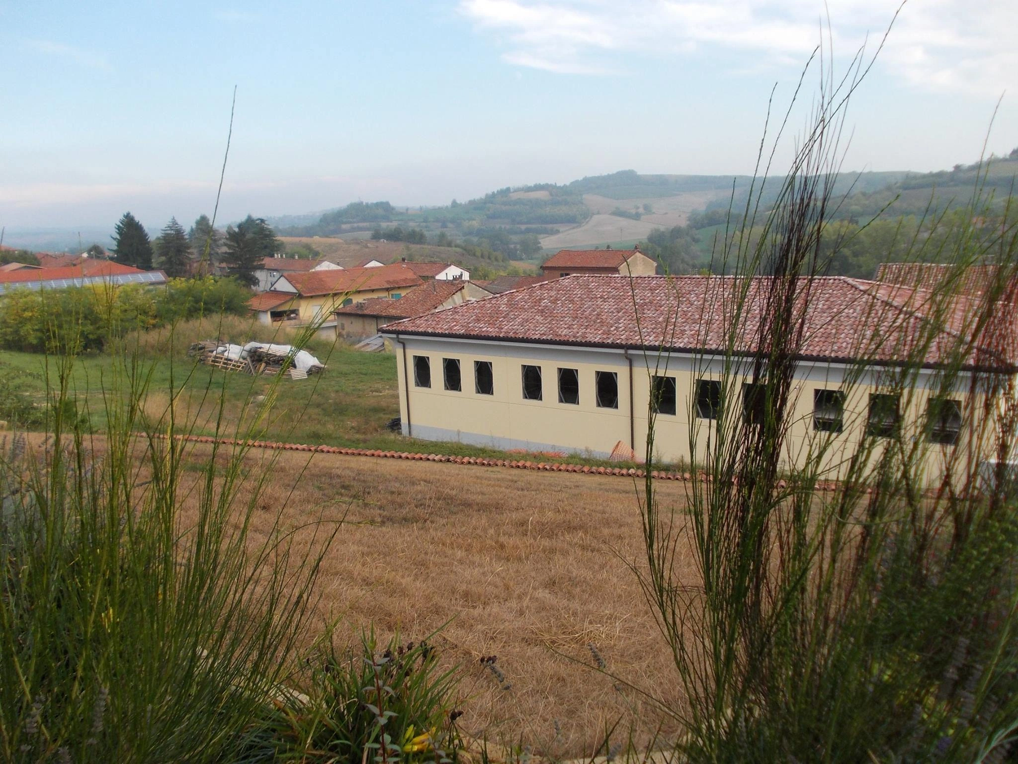 Prima e dopo - Vivai Il pollice Verde, Asti