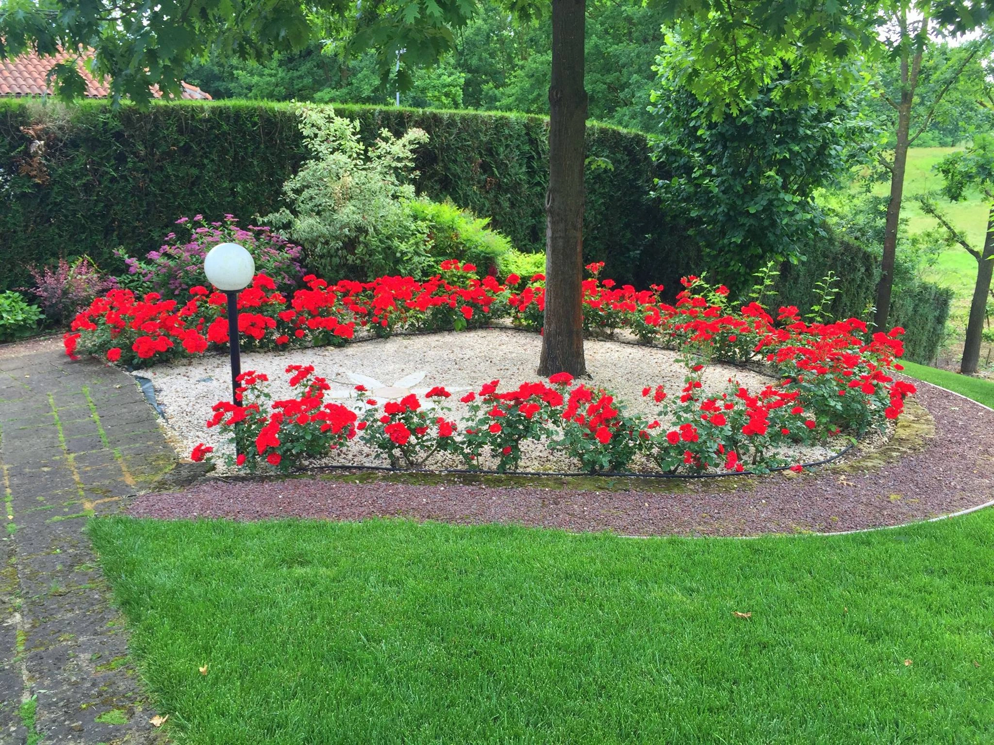 Giardini realizzati - Vivai Il pollice Verde, Asti