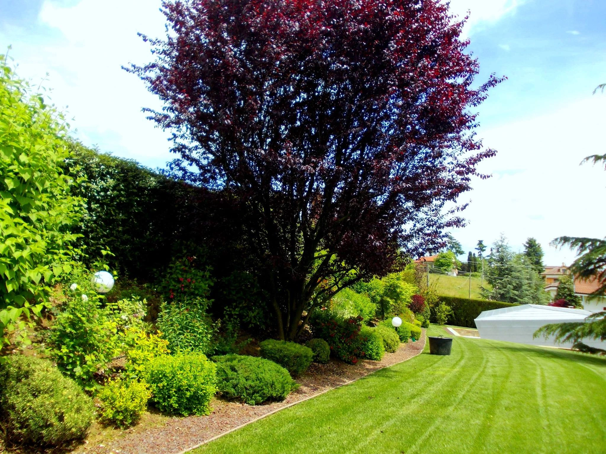 Giardini realizzati - Vivai Il pollice Verde, Asti