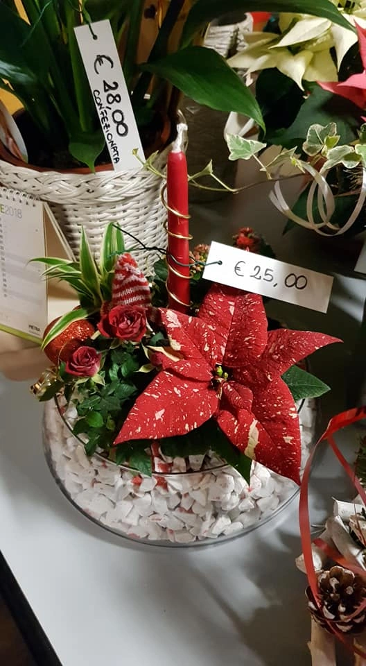 Le nostre composizioni - Vivai Il pollice Verde, Asti