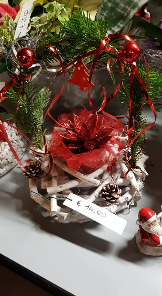 Le nostre composizioni - Vivai Il pollice Verde, Asti