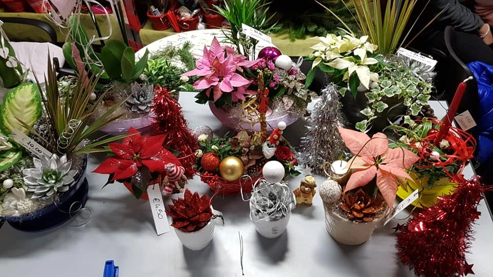 Le nostre composizioni - Vivai Il pollice Verde, Asti