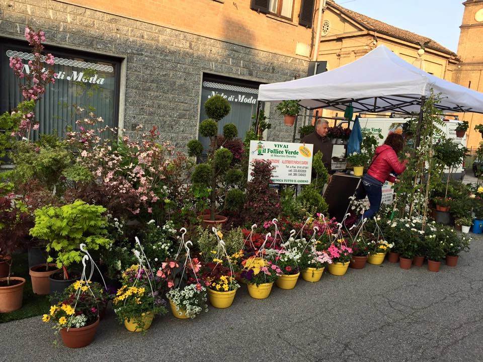 Fiori ed eventi - Vivai Il pollice Verde, Asti