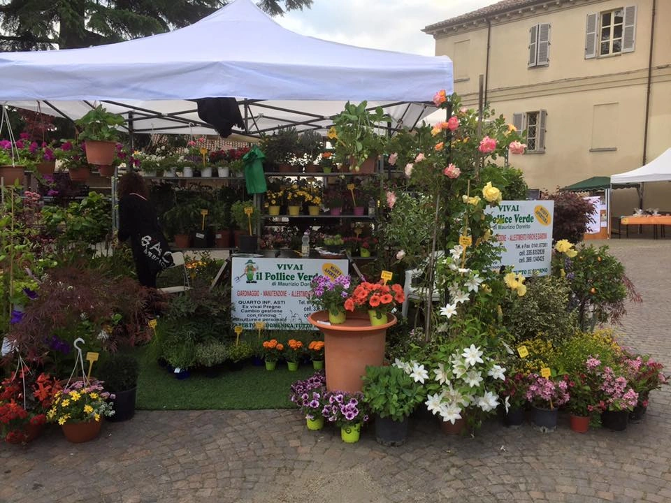 Fiori ed eventi - Vivai Il pollice Verde, Asti