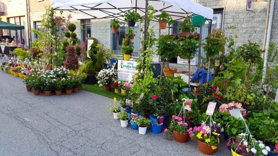 Fiori ed eventi - Vivai Il pollice Verde, Asti