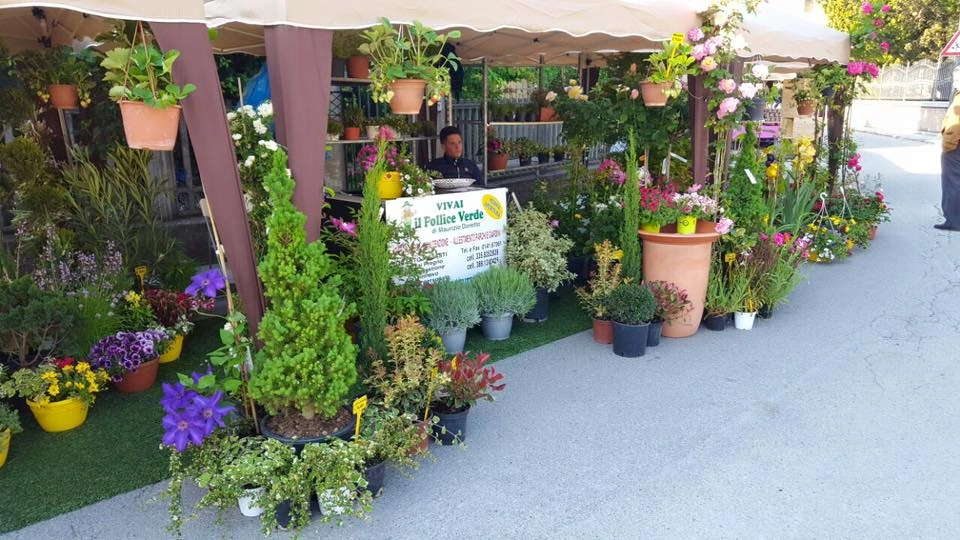 Fiori ed eventi - Vivai Il pollice Verde, Asti
