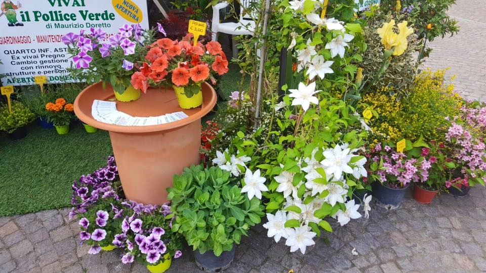 Fiori ed eventi - Vivai Il pollice Verde, Asti