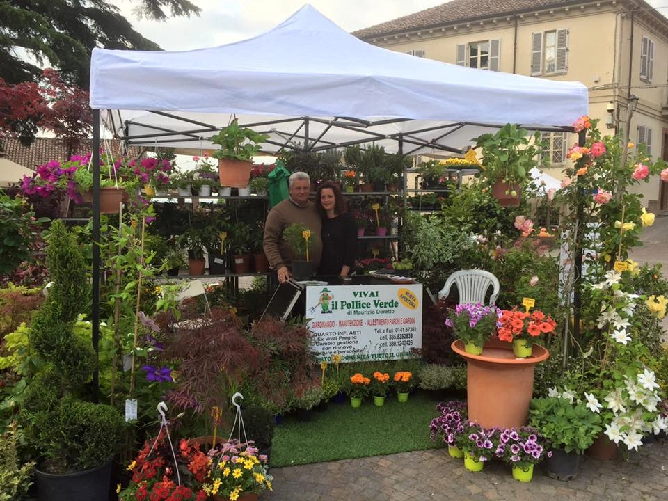 Fiori ed eventi - Vivai Il pollice Verde, Asti