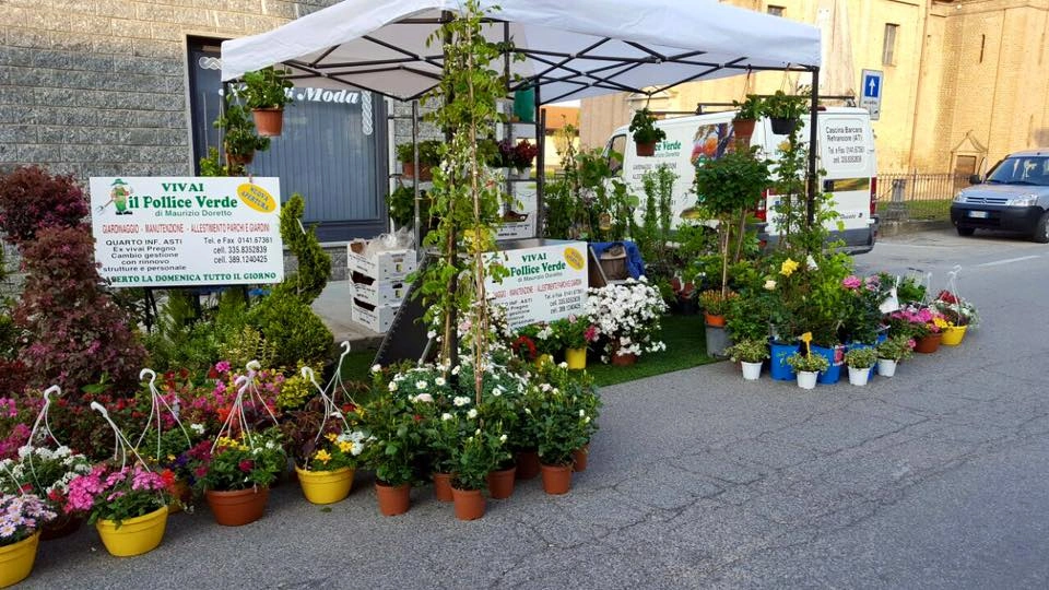 Fiori ed eventi - Vivai Il pollice Verde, Asti