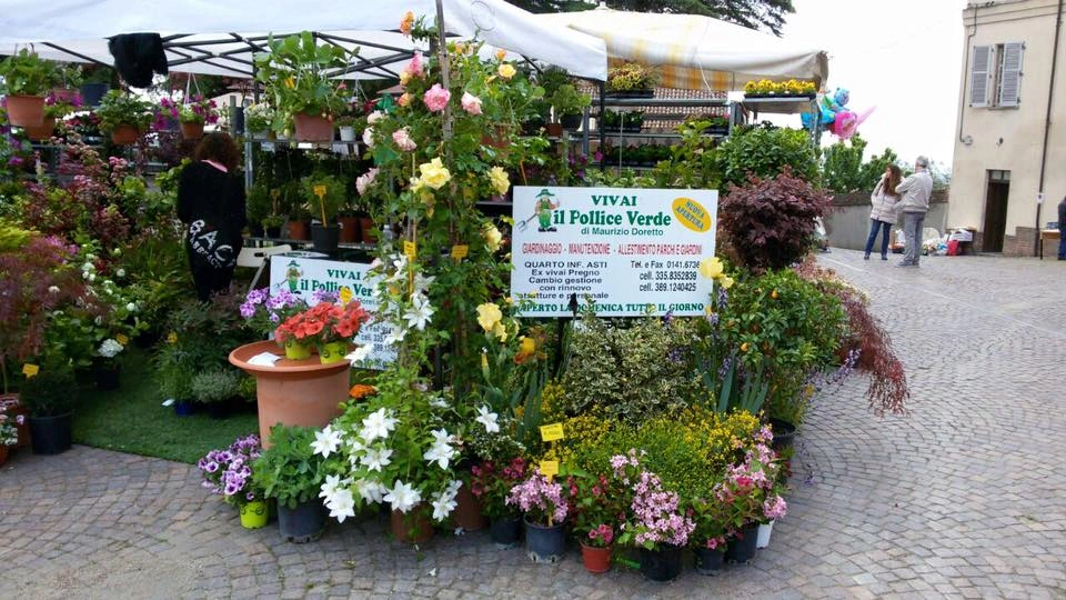 Fiori ed eventi - Vivai Il pollice Verde, Asti