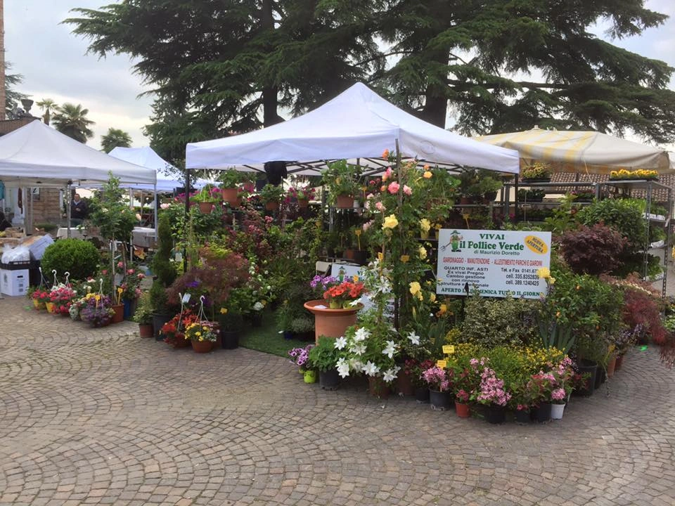 Fiori ed eventi - Vivai Il pollice Verde, Asti