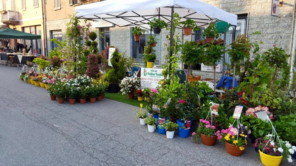 Fiori ed eventi - Vivai Il pollice Verde, Asti