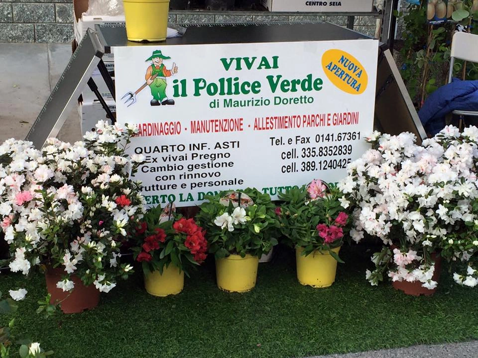 Fiori ed eventi - Vivai Il pollice Verde, Asti