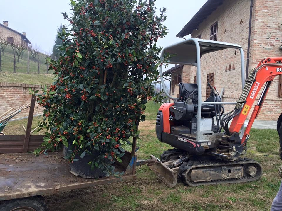 I nostri mezzi - Vivai Il pollice Verde, Asti