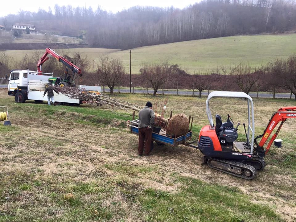 I nostri mezzi - Vivai Il pollice Verde, Asti