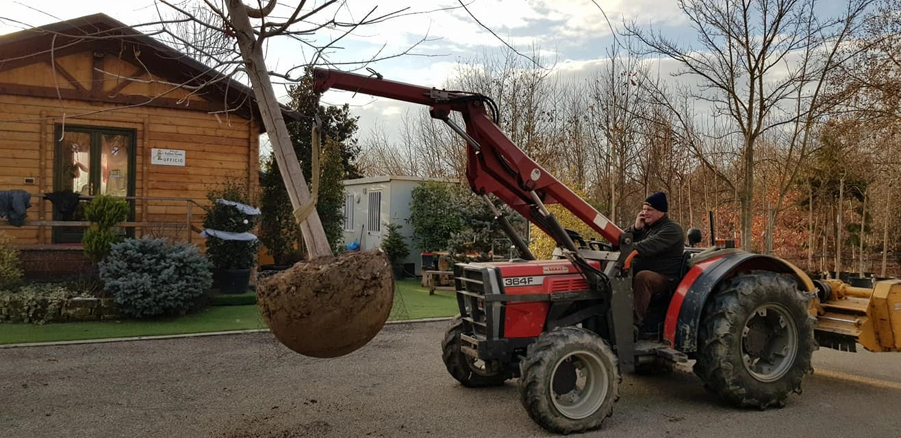 I nostri mezzi - Vivai Il pollice Verde, Asti