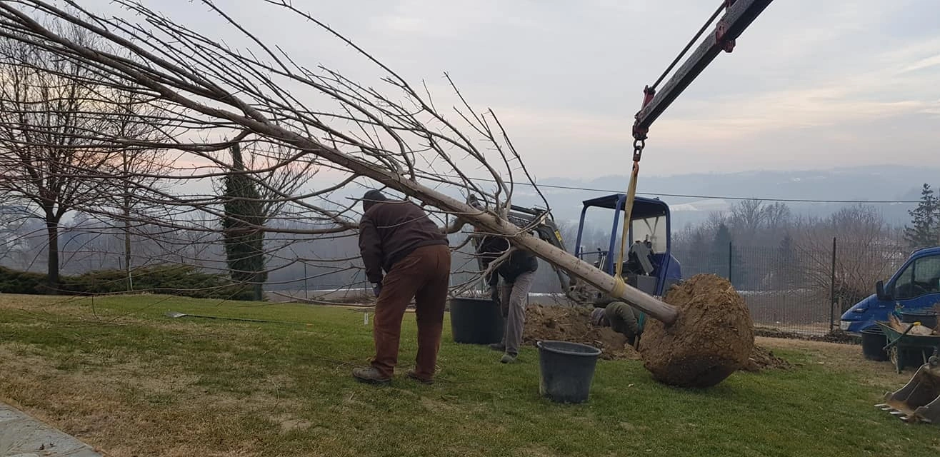 I nostri mezzi - Vivai Il pollice Verde, Asti