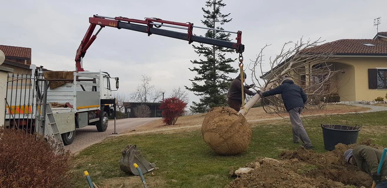 I nostri mezzi - Vivai Il pollice Verde, Asti