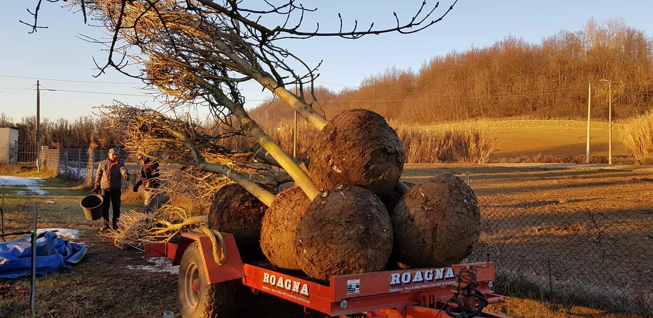 I nostri mezzi - Vivai Il pollice Verde, Asti